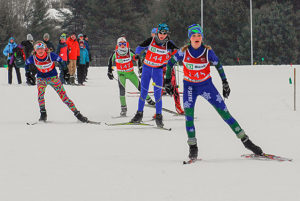 Silver Fox Trot BKL Race 2015