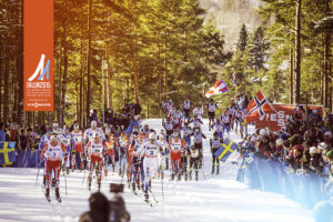 Nordic race